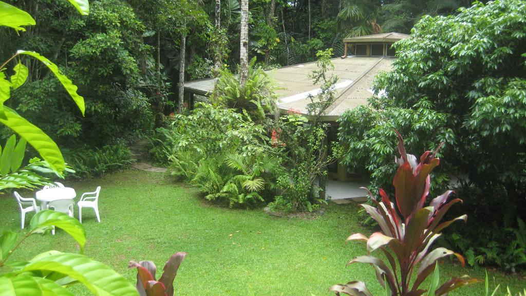Daintree Deep Forest Lodge Кейп-Тріб'юлейшен Екстер'єр фото